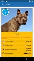 Battle Cards Online - Dogs and Cats Ekran Görüntüsü 2