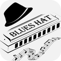 Blues Harp Hat