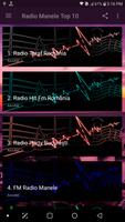 Radio Manele TOP 10 الملصق