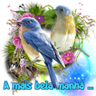 bom dia boa tarde boa noite icon