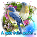 bom dia boa tarde boa noite APK