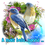 bom dia boa tarde boa noite