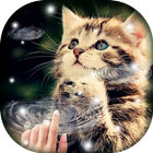 Water Touch - Cute Cat Live Wallpaper icône