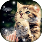 آیکون‌ Water Touch - Cute Cat Live Wallpaper