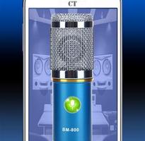Mic Microphone poster