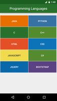 Programming Languages Affiche