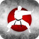 APK Karate Training - Videos