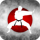 Karate Training biểu tượng