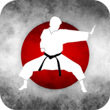 Karate Training icon