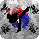Hapkido Training - Videos aplikacja