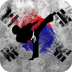 Hapkido Training icône