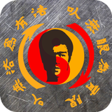 Jeet Kune Do Training icono