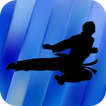 ”Taekwondo Training - Videos