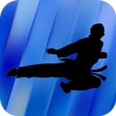 APK Taekwondo Training - Videos