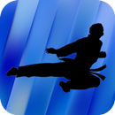 Taekwondo Training - Videos aplikacja
