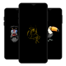 Black Wallpaper APK
