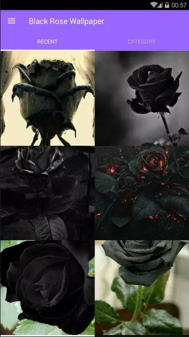 Black Rose Wallpaper APK for Android Download Black Rose Wallpaper APK for Android Download