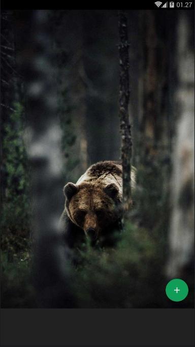pic Grizzly Bear Wallpaper Phone grizzly bear wallpaper fur android