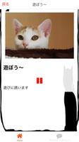 猫の鳴き声で猫語翻訳　　猫と会話ができるアプリ 截圖 2