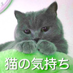 猫の気持ちがわかるアプリ