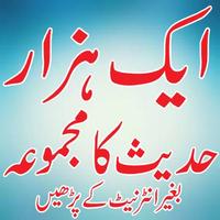 Aik Hazaar Ahadees e Mubarika スクリーンショット 1