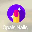 Opals Nails - Inventario(Empresa) APK