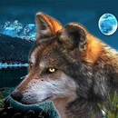 Moonlight Wolf APK