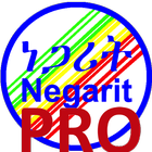 Negarit App Pro icône