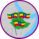 Ethiopian Missions In The World-icoon
