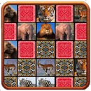 Flip Puzzle Ethio APK