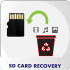 SD Card Data Recovery Guide icône