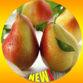 Pear Wallpaper HD