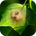 Leaf Editor - Leaves Frames