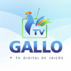 TV Gallo APK