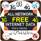 Daily data internet MB 3g 4g icon