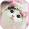 cat Wallpapers - cute kitten images
