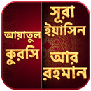 surah yasin bangla- ar rahman- ayatul kursi APK