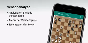 Schachanalyse