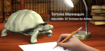 Tortoise Mannequin