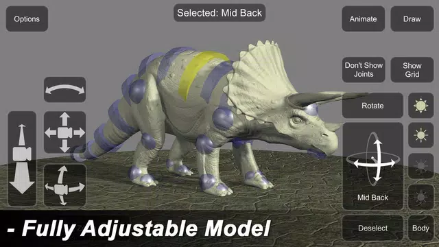 Triceratops Mannequin