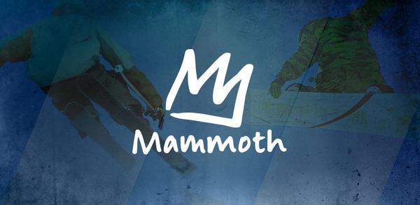 Пошаговое руководство по загрузке Mammoth image