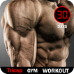 Triceps Workout - Arm Exercises At Gym Fitness