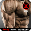 Triceps Workout - Arm Exercise