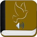 Biblia NVI APK