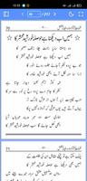 Safina e Bakhshish syot layar 2