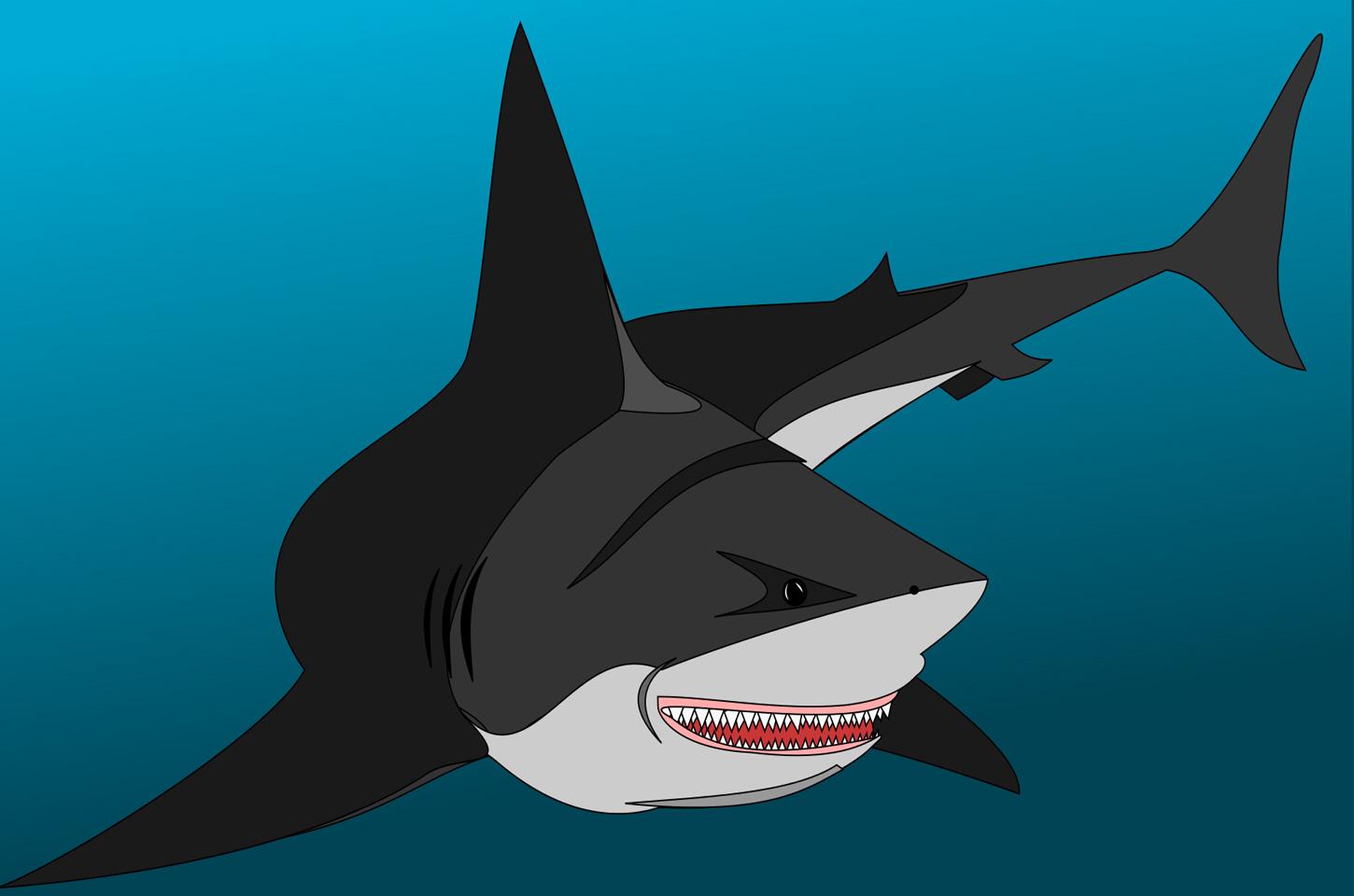 Shark wallpaperapp截图
