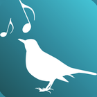 Amsel – Build up your Voice icono