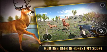 Wild Shooter 3D Hunting Games