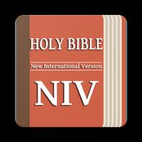 NIV Bible पोस्टर