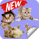 Sticker de Gatos Tiernos APK